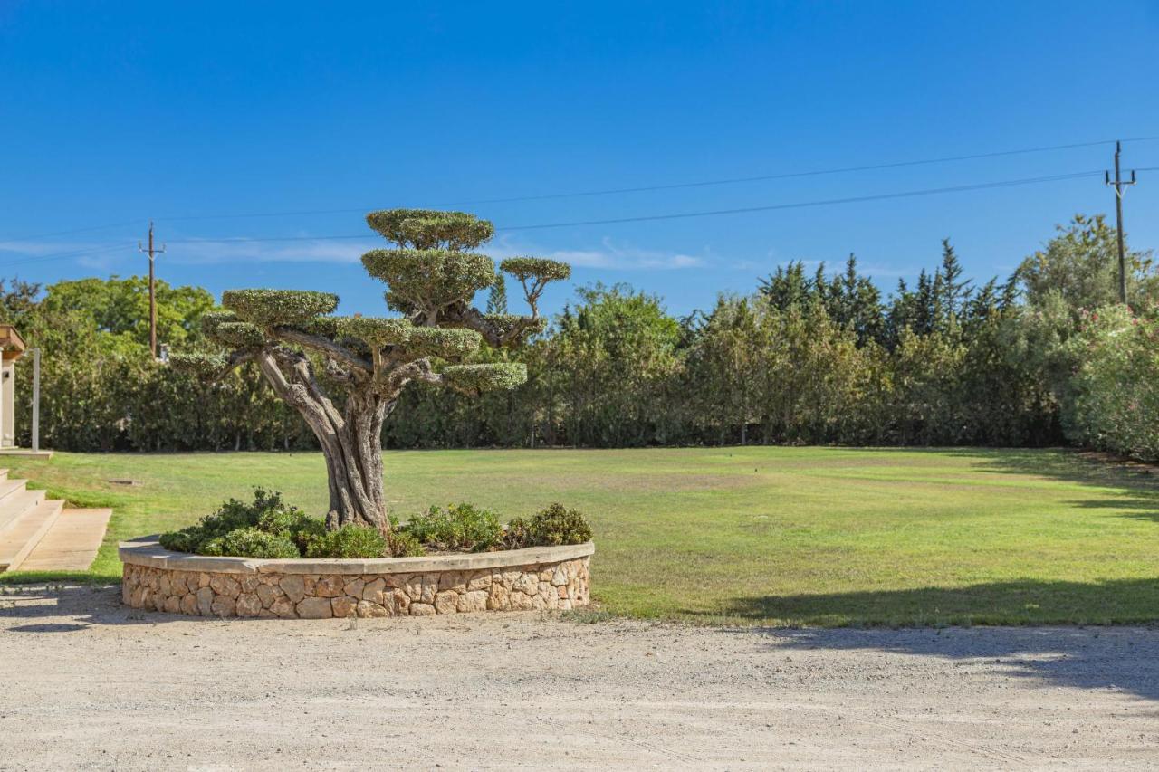 Villa Can Magnus Alcudia  Exterior photo